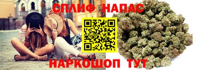 mdpv Будённовск